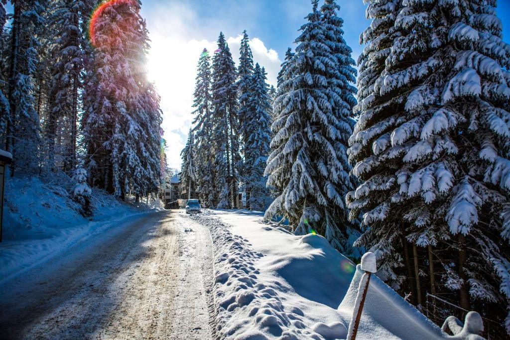 Sunny Hills Ski&Wellness Παμπόροβο Εξωτερικό φωτογραφία